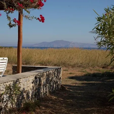 Gold And Blue Tinos House